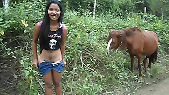 Hd Video Of Asian Beauty Loving Huge Horse Penis And Ejaculating