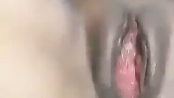 Isteri Amatur Menikmati Creampie Anal.