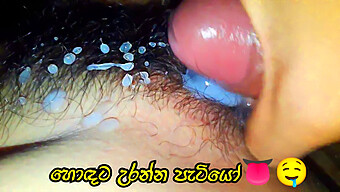 Hodata'S Wife Gets A Big Cock In Her Pussy In Homemade Sinhala Porn