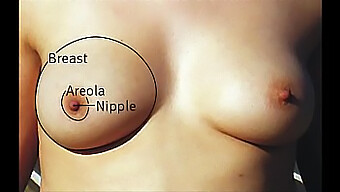 A Collection Of Voluptuous Breasts In Various Shapes And Sizes