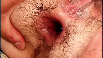 Teen'S Hairy Ass Spread For Creampie And Gape